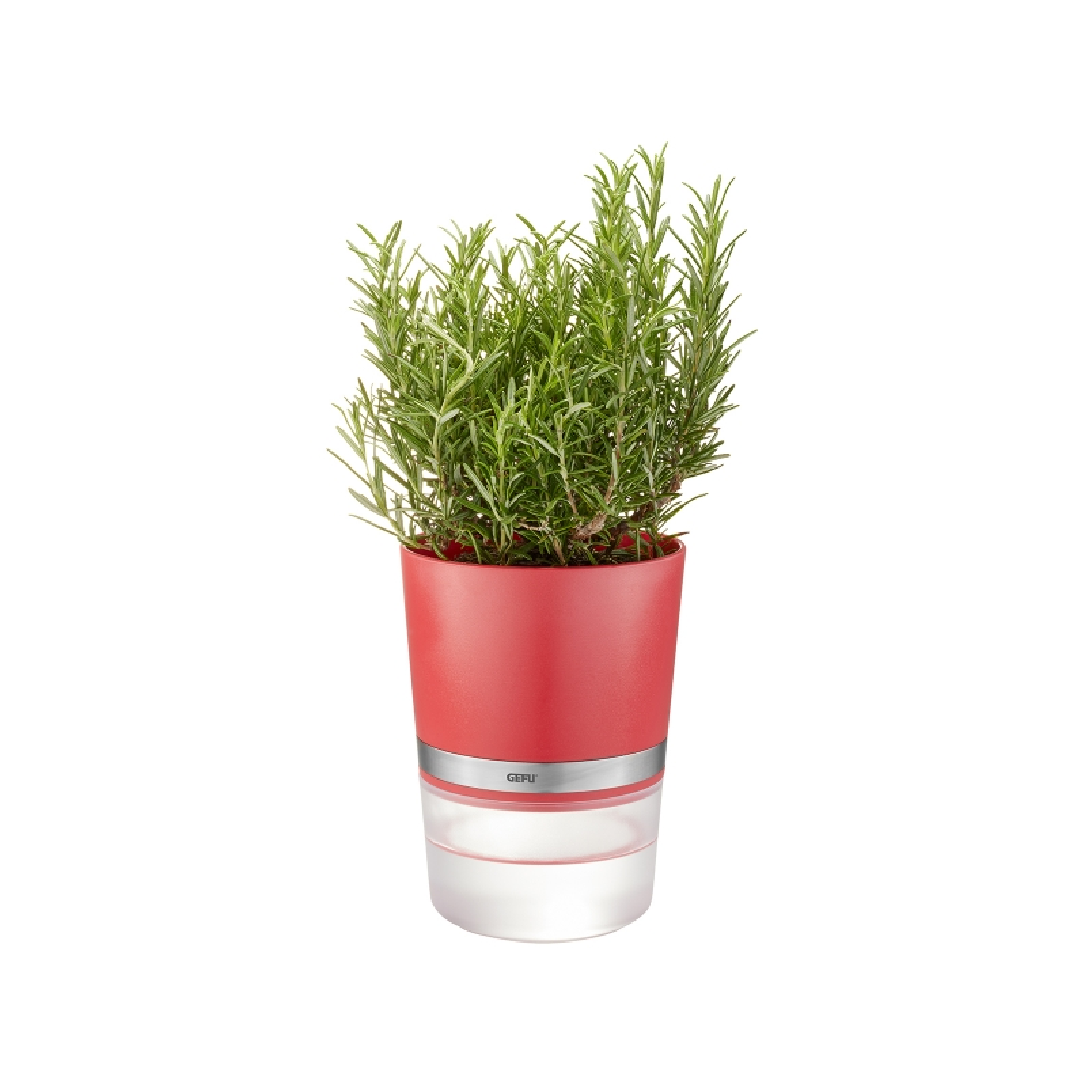 Garšaugu audzēšanas pods ar laistīšanas sistēmu Gefu Botanico, sarkans